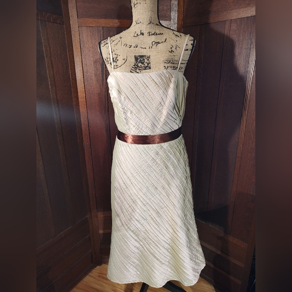 Watters and Watters Tan luminescent Formal Party Wedding Dress Size 10 NWT - Picture 1 of 7